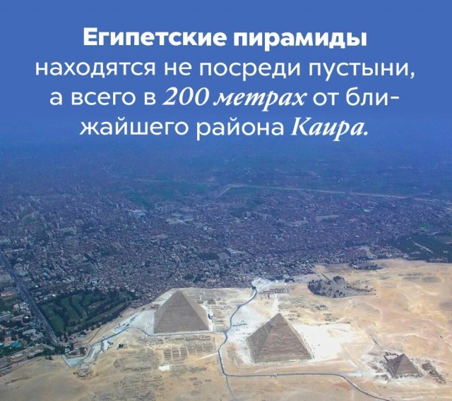 Факты. Просто факты.