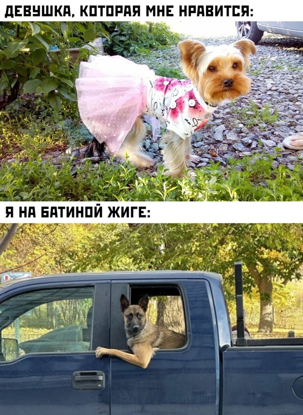 Немного картинок для настроения - 127