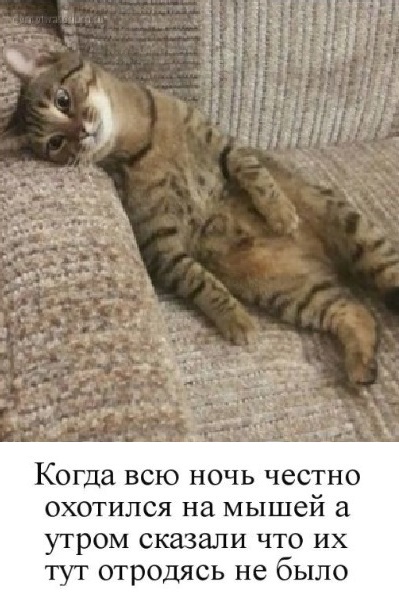 Так себе картинки 25.12.22