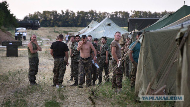 Зеленского попросили не отменять празднование Дня Победы на Украине