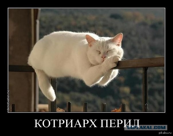 Я у мамы инженер(#2)