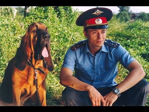 Минутка высокой поэзии