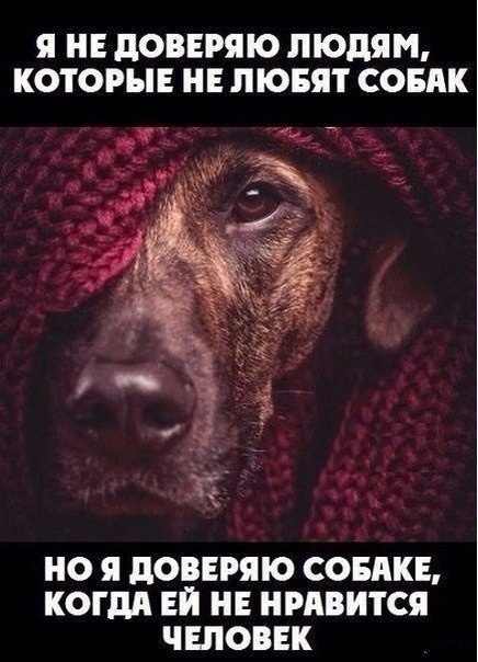 Так себе картинки 29.11.24