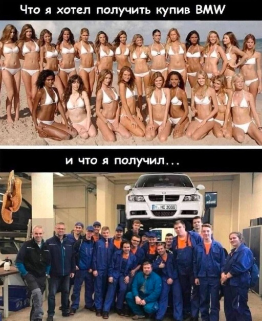 Весёлый полтишок 23.01.25