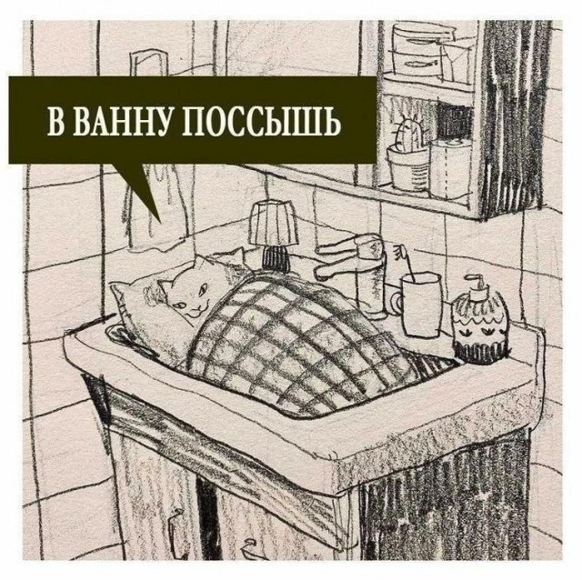 Так себе картинки 17.02.25