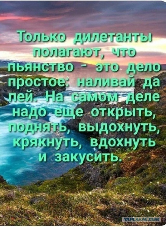 Так себе картинки 22.02.25