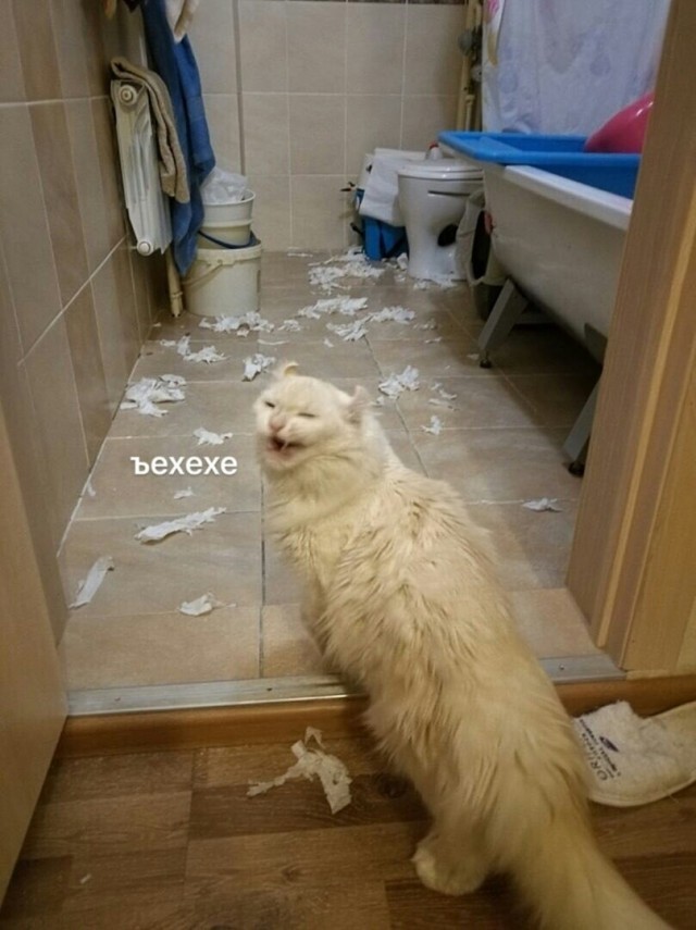 Хоть за него порадуемся