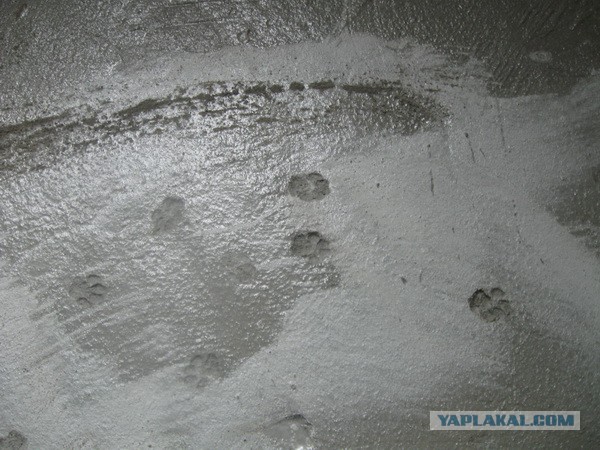 Очередная тема про ремонт своими силами