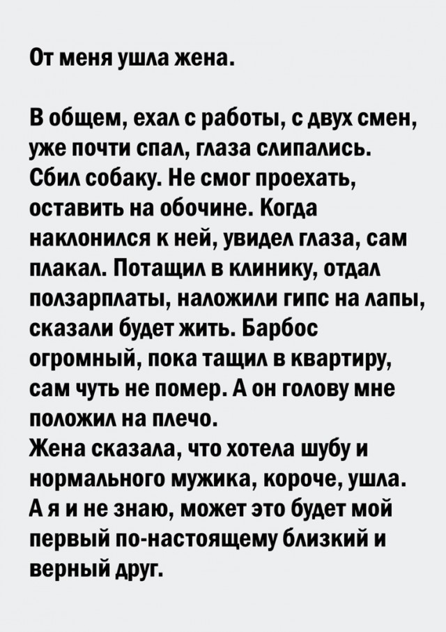 20055780.jpg