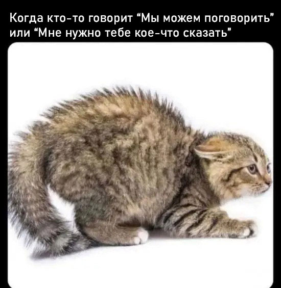К котовторнику: подборка картинок-баянов с котиками и про котиков. Выпуск 10
