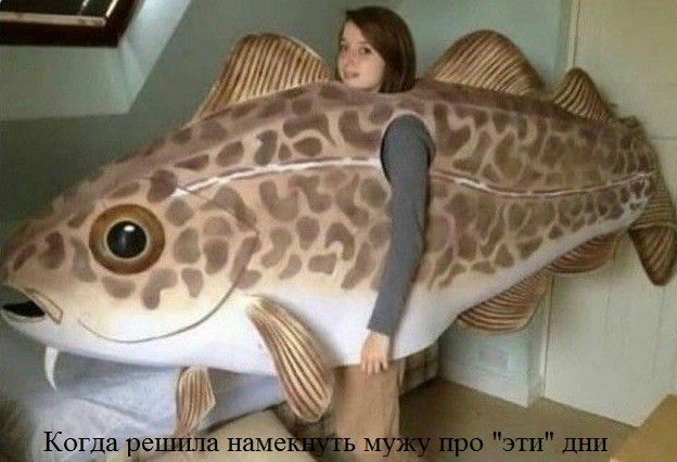 Веселое настроение в картинках (25.07.2025)
