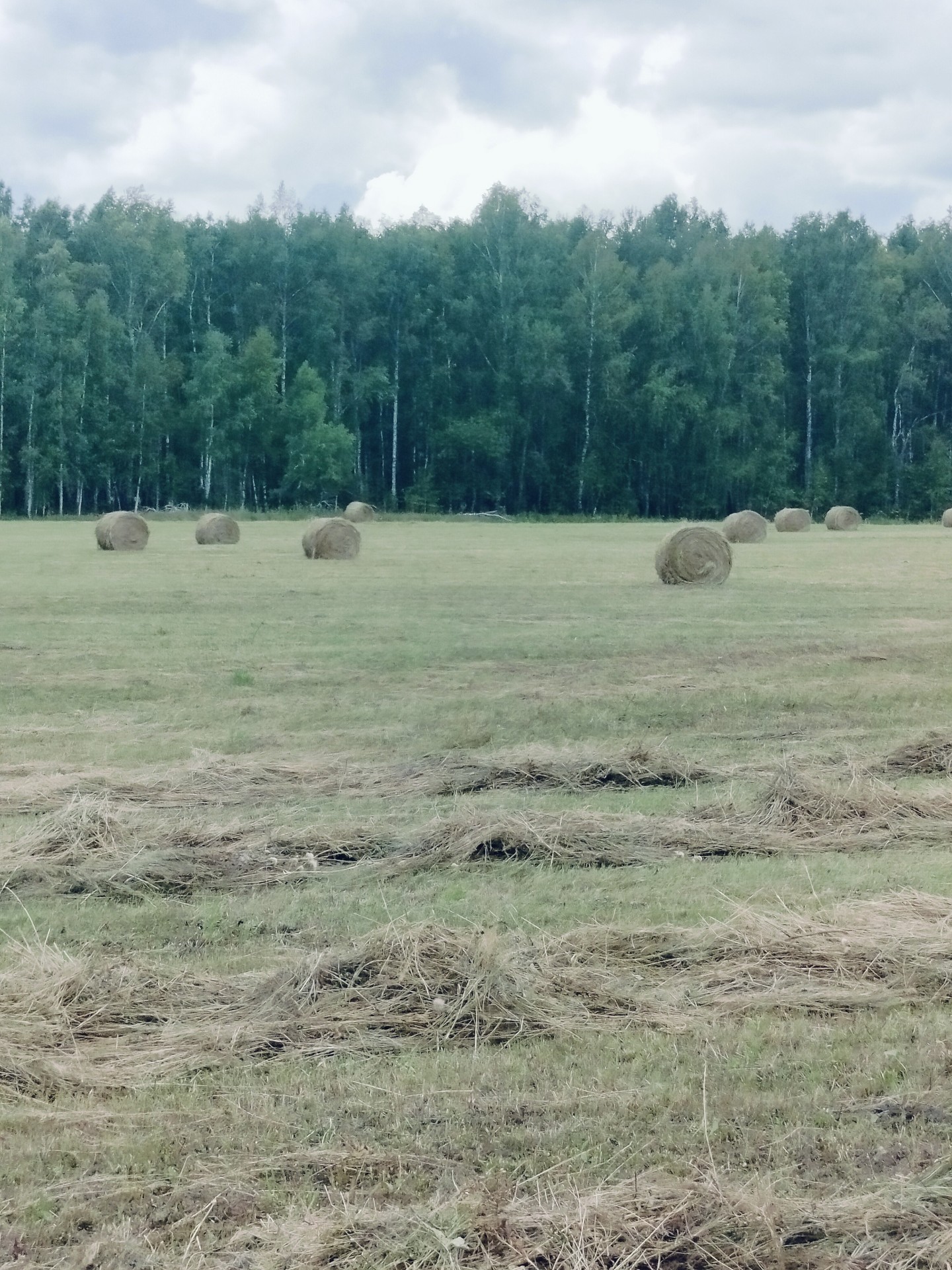Дождался