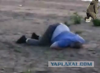 Полицейские командировочные