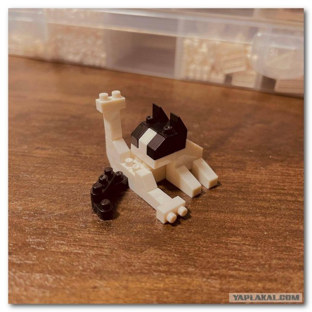 Веселые картинки _)