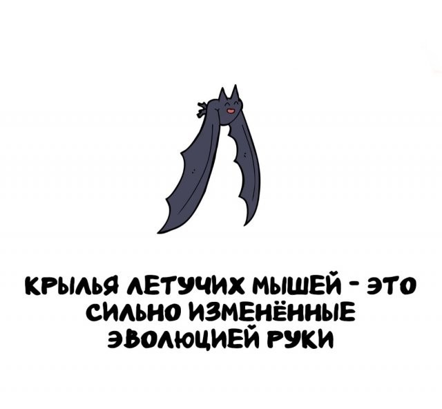 Интересные и короткие факты на все случаи жизни 05.01.26
