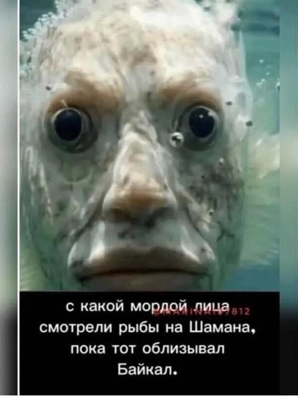 Картинки пятничные