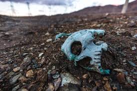 Просто речь одного бывшего школьного учителя