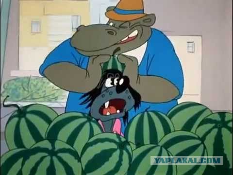 Не суй башку, куда не надо!