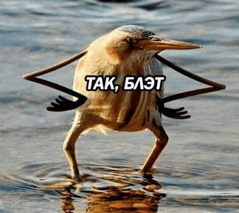 От Советского информбюро