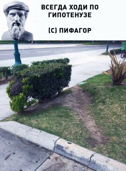 Картинки для деградации 254 (разной степени сежести)