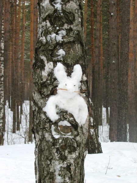 Калхозный клуп пейсателей