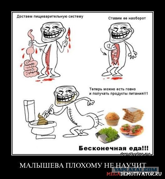 7 несравненных «перлов» от Елены Малышевой
