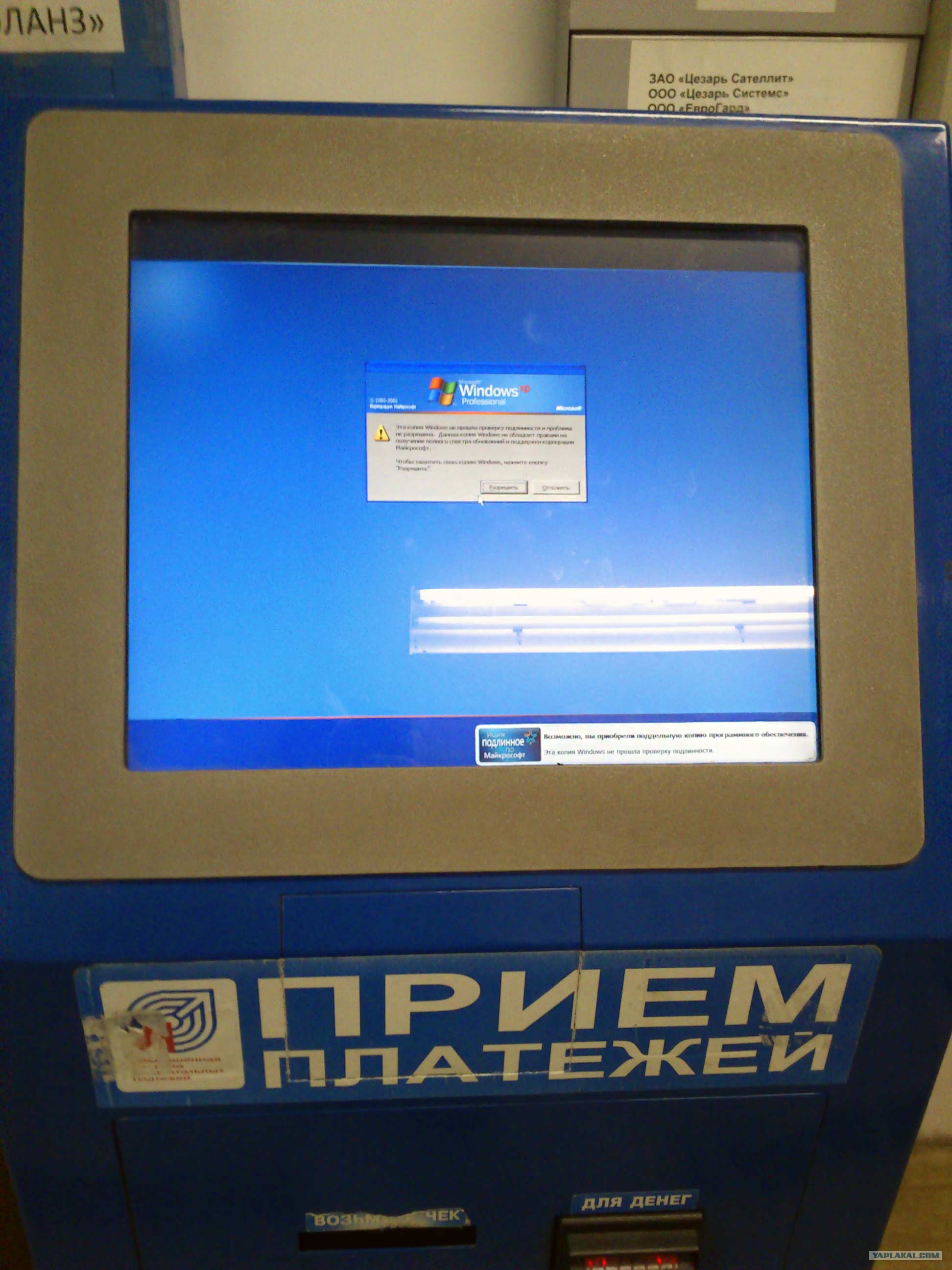 Игровые автоматы на деньги qiwi рубли. Билетный терминал. Штраф Платон. Билетный терминал в СПБ. Билетный терминал в метро.