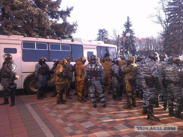 Беркут пошел на штурм