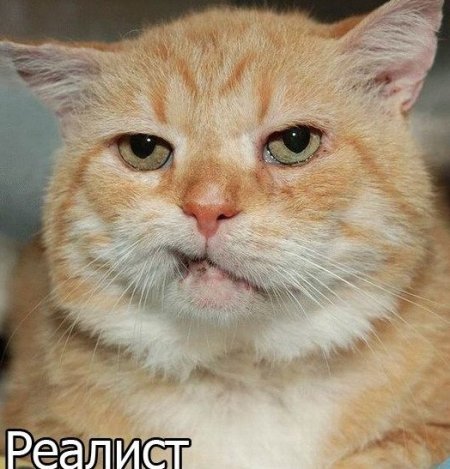 Подборка прикольных фото.