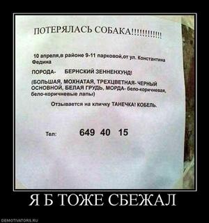 Просто забавные фотки из мобильника