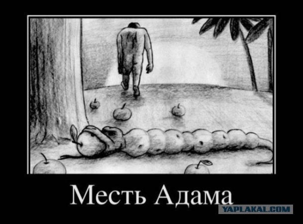 Импровизация, бачата