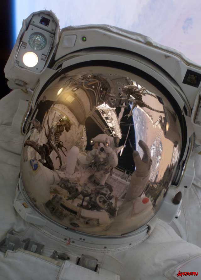 Смешные картинки и комментарии