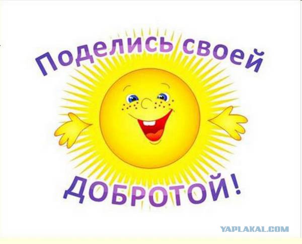 Добряки, плюсующие всех подряд