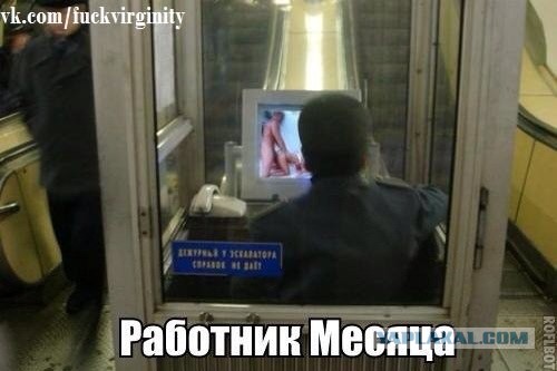 Свежие картинки из сети