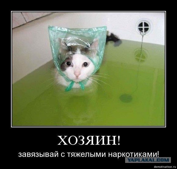 Смешные картинки