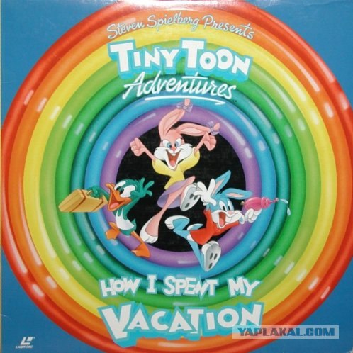 Как Койот решил проблему