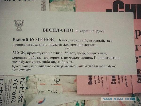 Смешные комментарии из социальных сетей