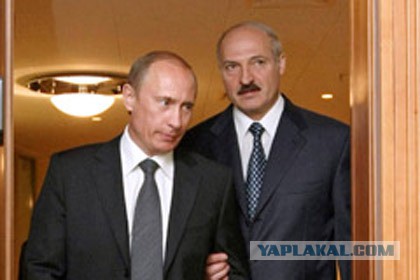 Лукашенко: мы не щенки,чтобы нас за шиворот водить