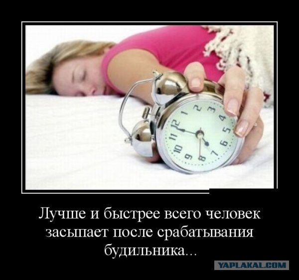 Весёлые картинки