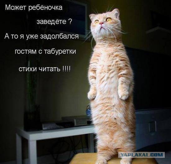 Картинки