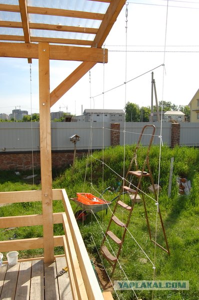 Литературное произведение о окне и руках