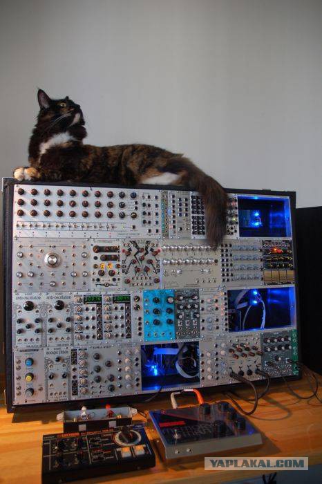 Немного картинок из сети
