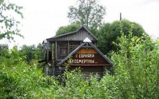 Американцы о дачах россиян!