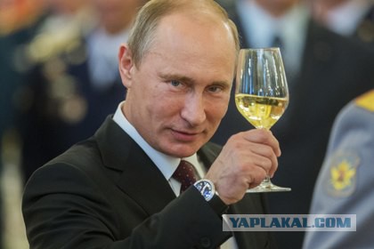 Путин, Обама и культура пития