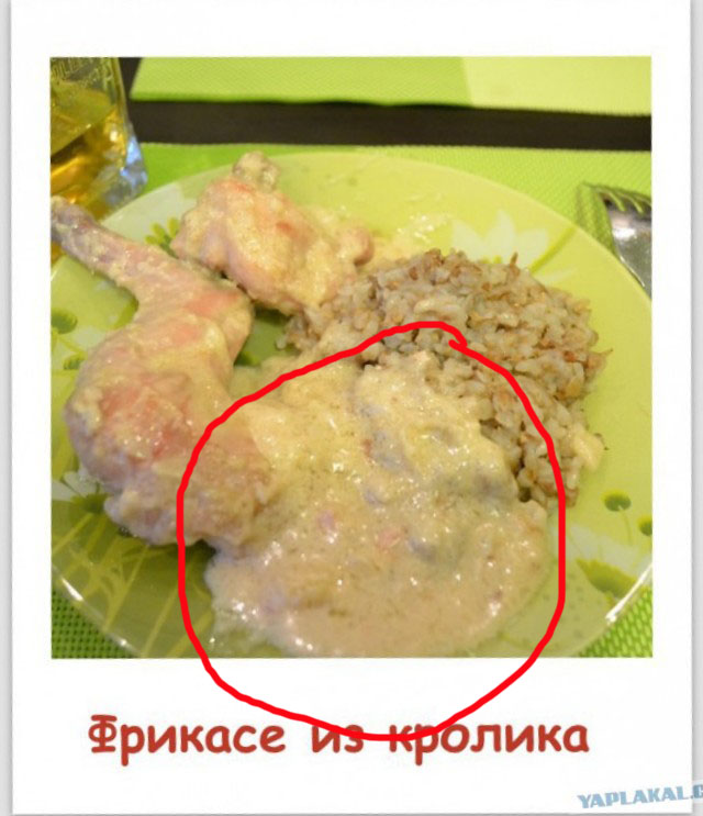 Следуй за белым кроликом