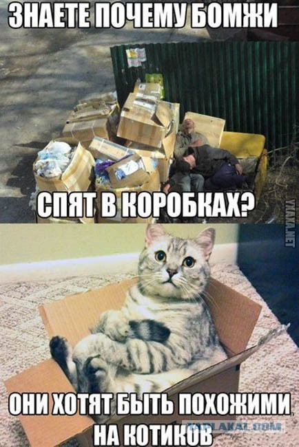 Реалити-шоу от челябинских бомжей