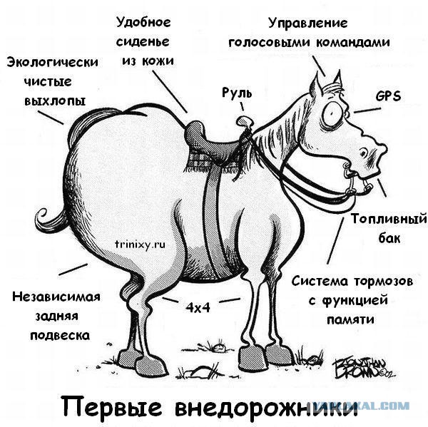 Пошлые мысли