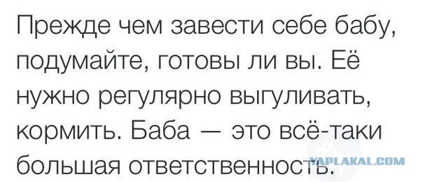 Очередные картинки на субботу
