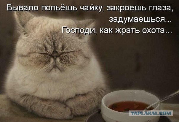 Приколы из сети