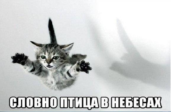 Немного картинок
